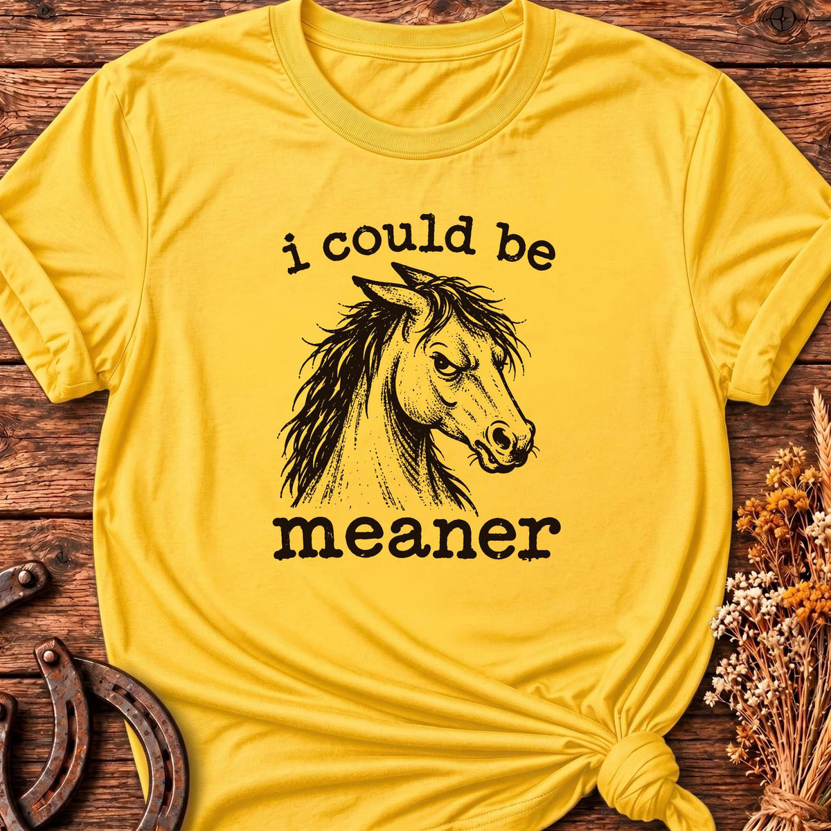 I Could Be Meaner T-Shirt