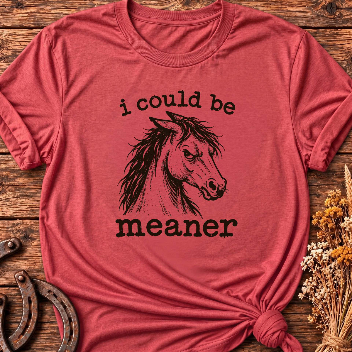 I Could Be Meaner T-Shirt