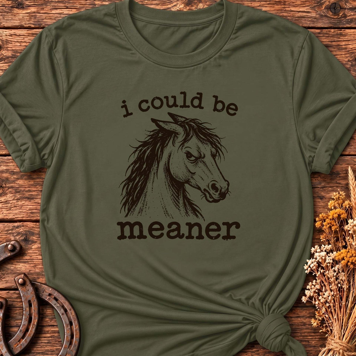 I Could Be Meaner T-Shirt