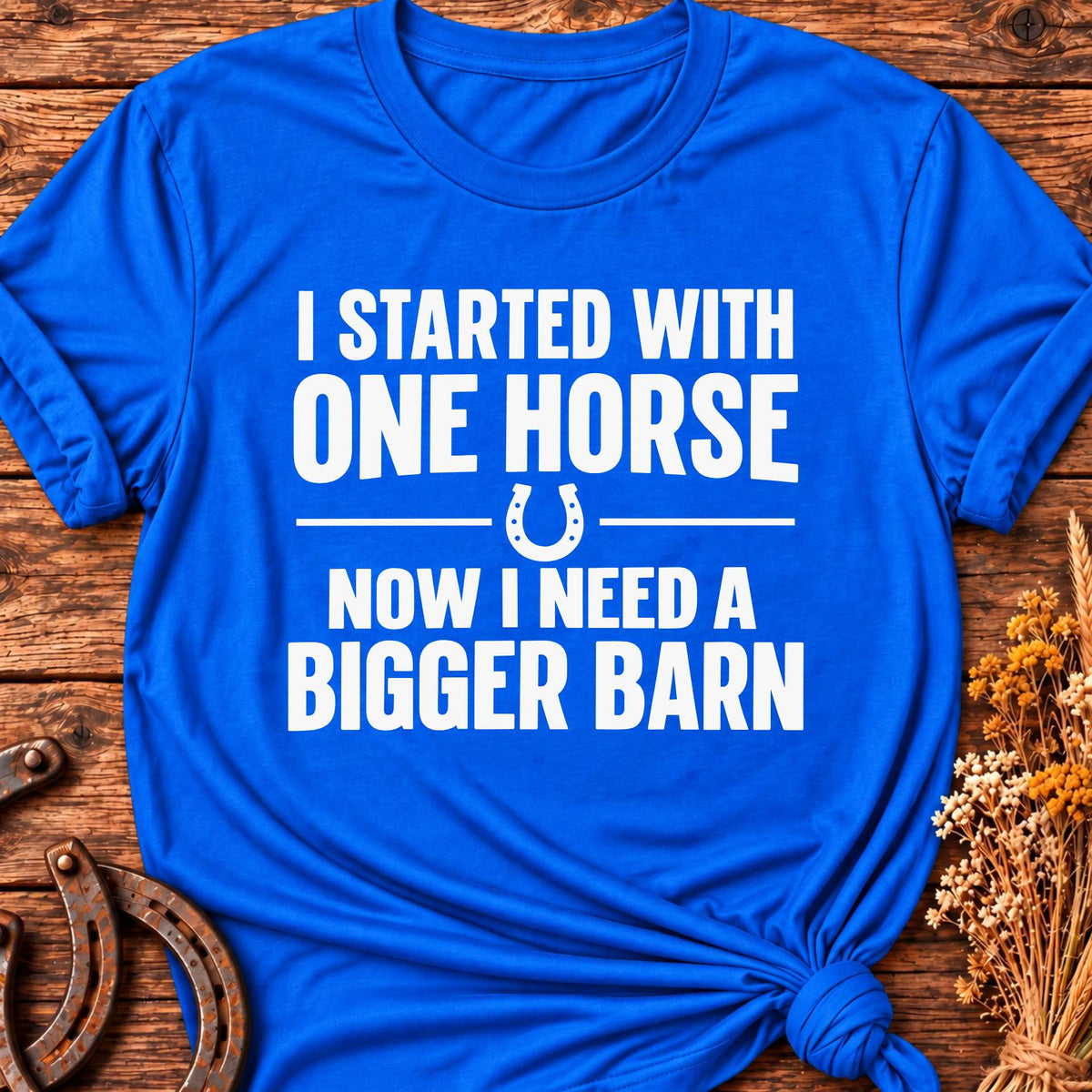 I Started With One Horse T-Shirt