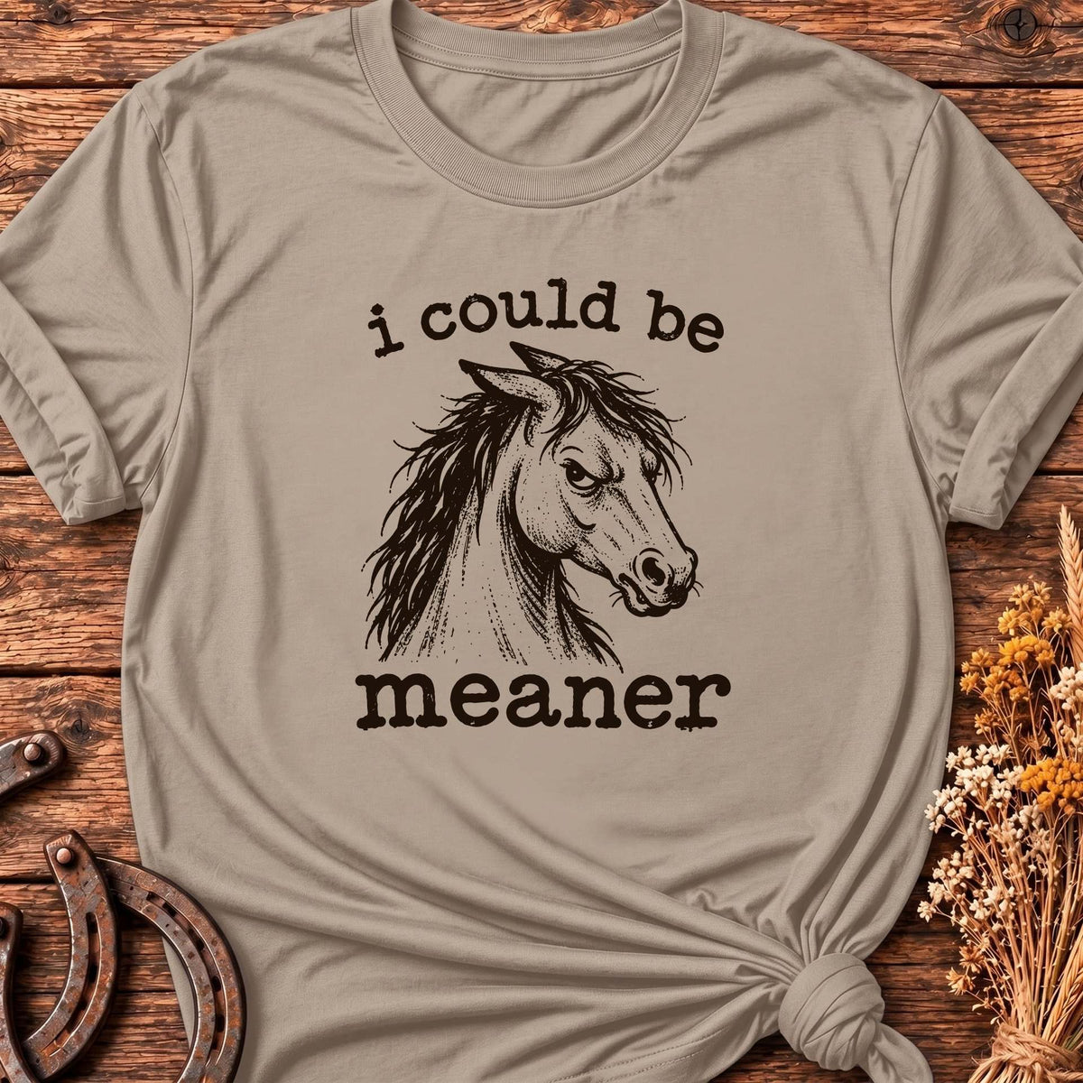 I Could Be Meaner T-Shirt