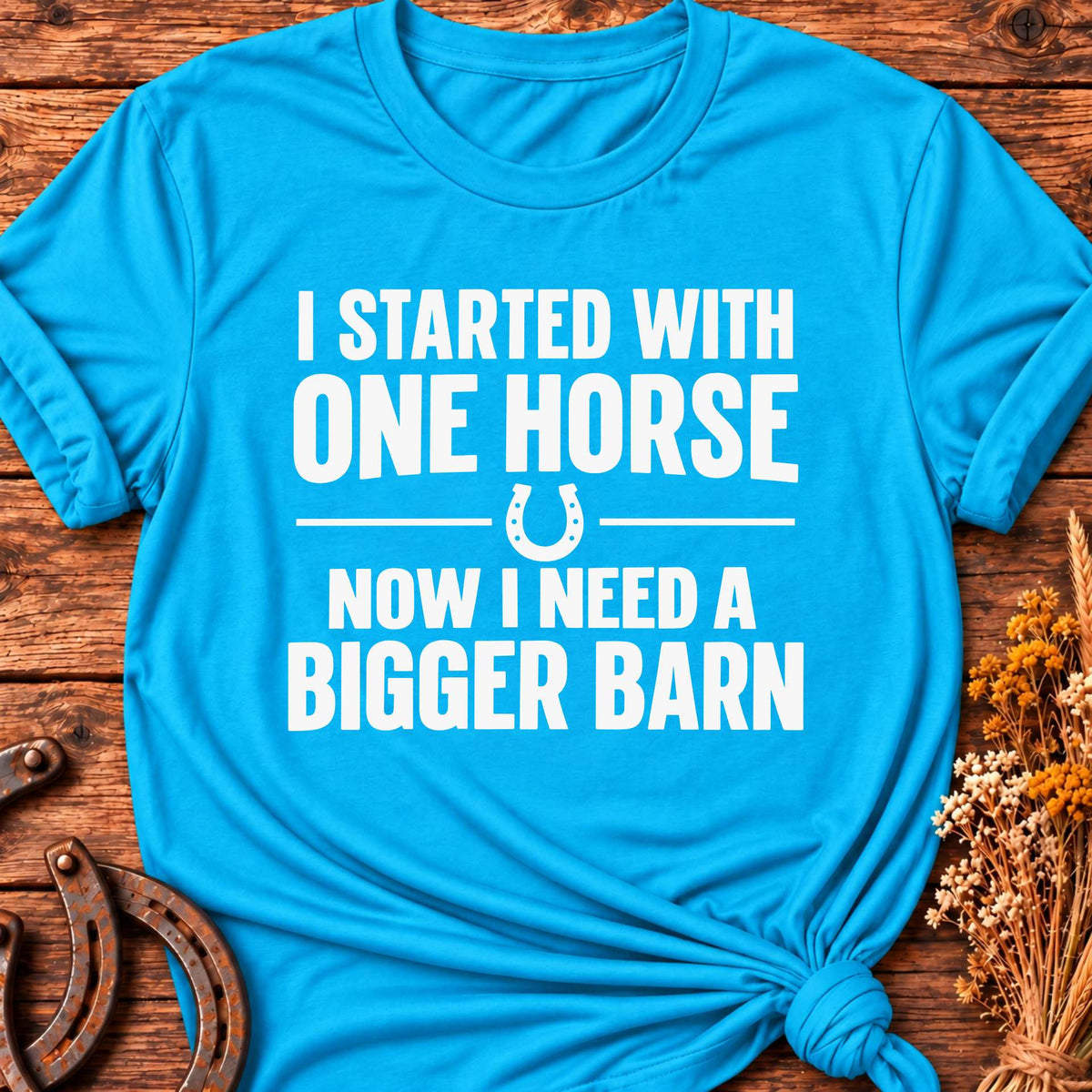I Started With One Horse T-Shirt