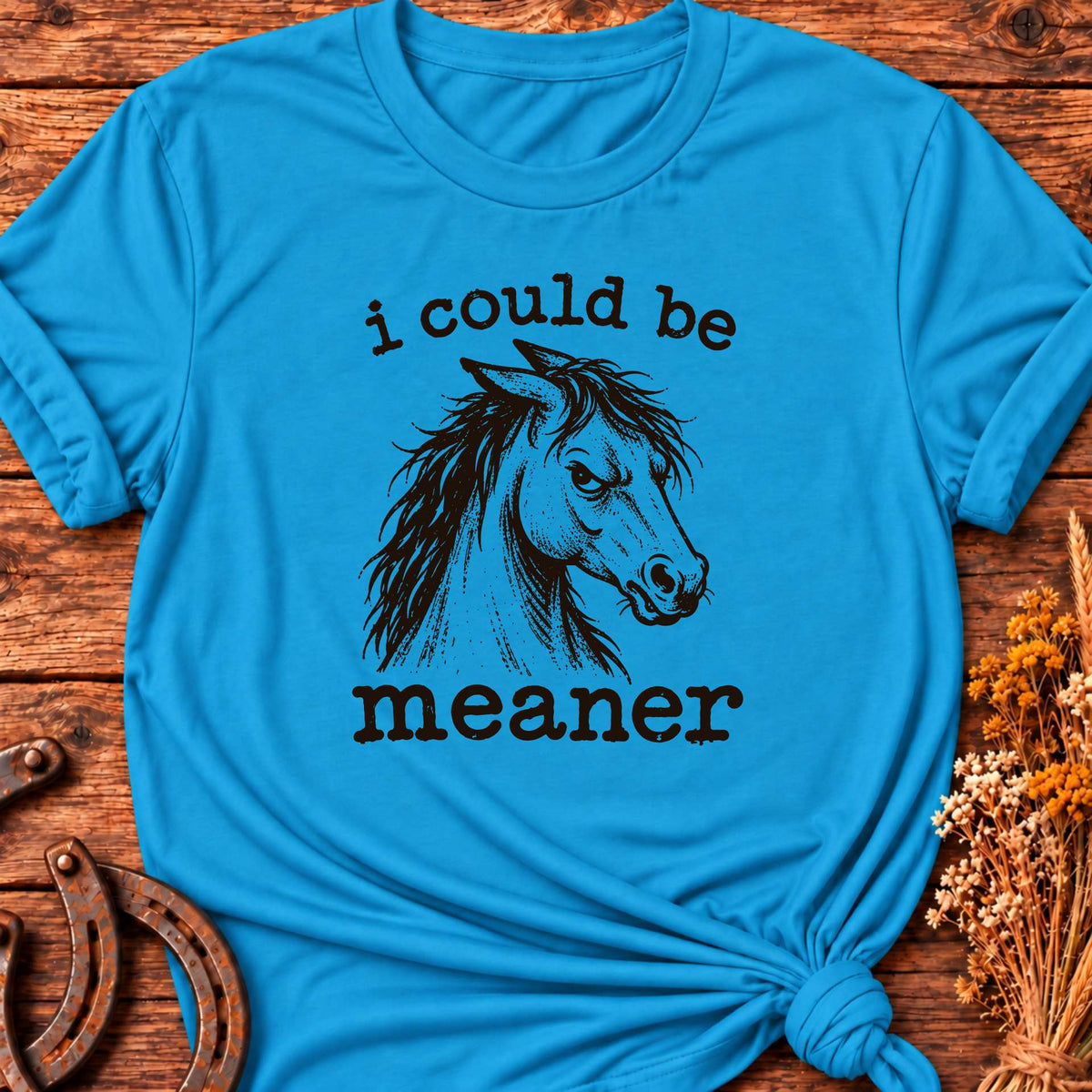 I Could Be Meaner T-Shirt