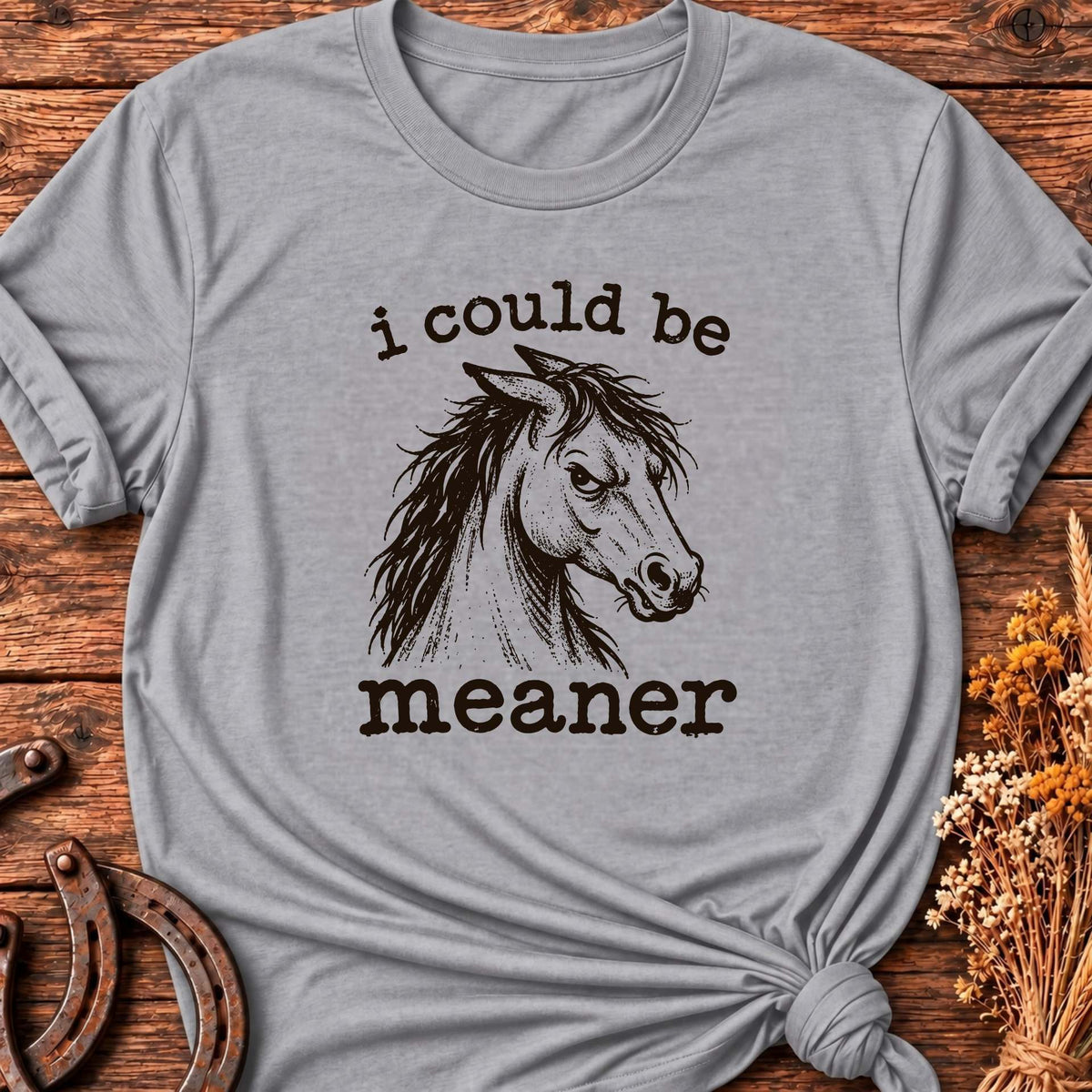 I Could Be Meaner T-Shirt