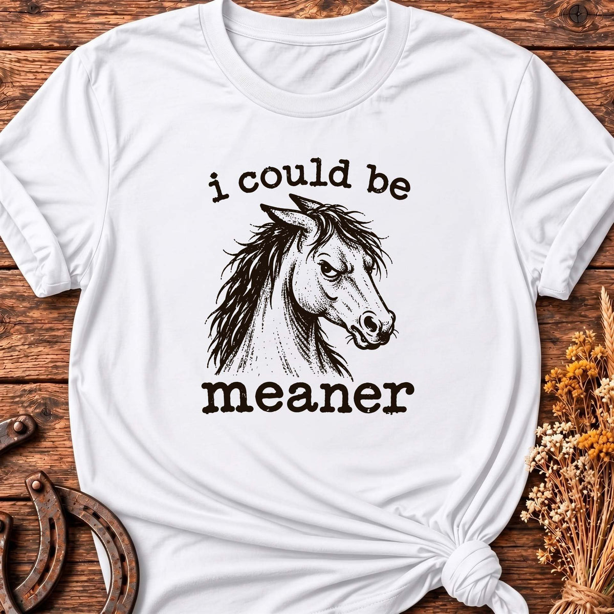 I Could Be Meaner T-Shirt